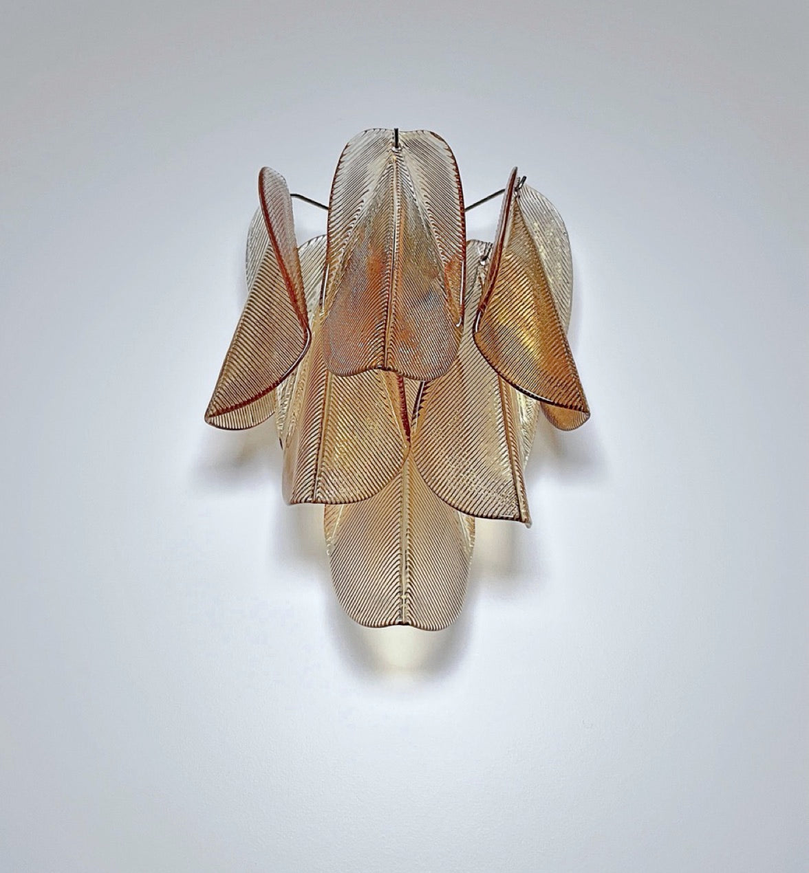 Pair of Vintage Italian Murano wall lights – 12 “rondini” amber glass